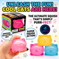 Cool Cats Squishy